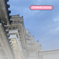 Advanced Japanese