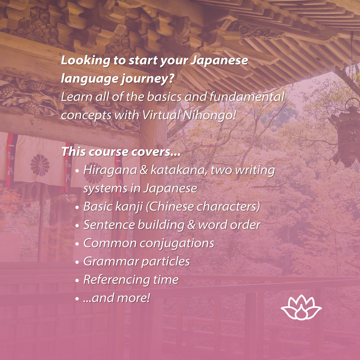 Nihongo Course Products – Virtual Nihongo