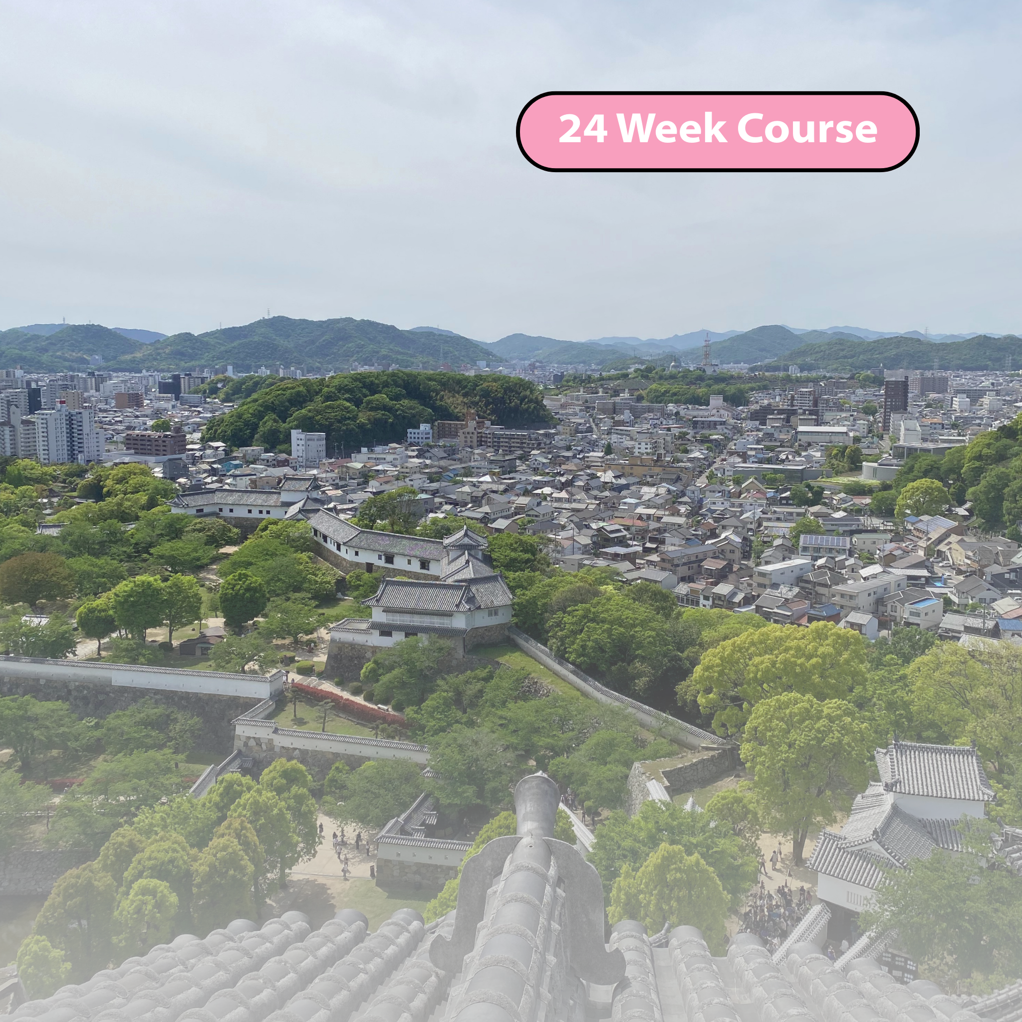 Intermediate Japanese