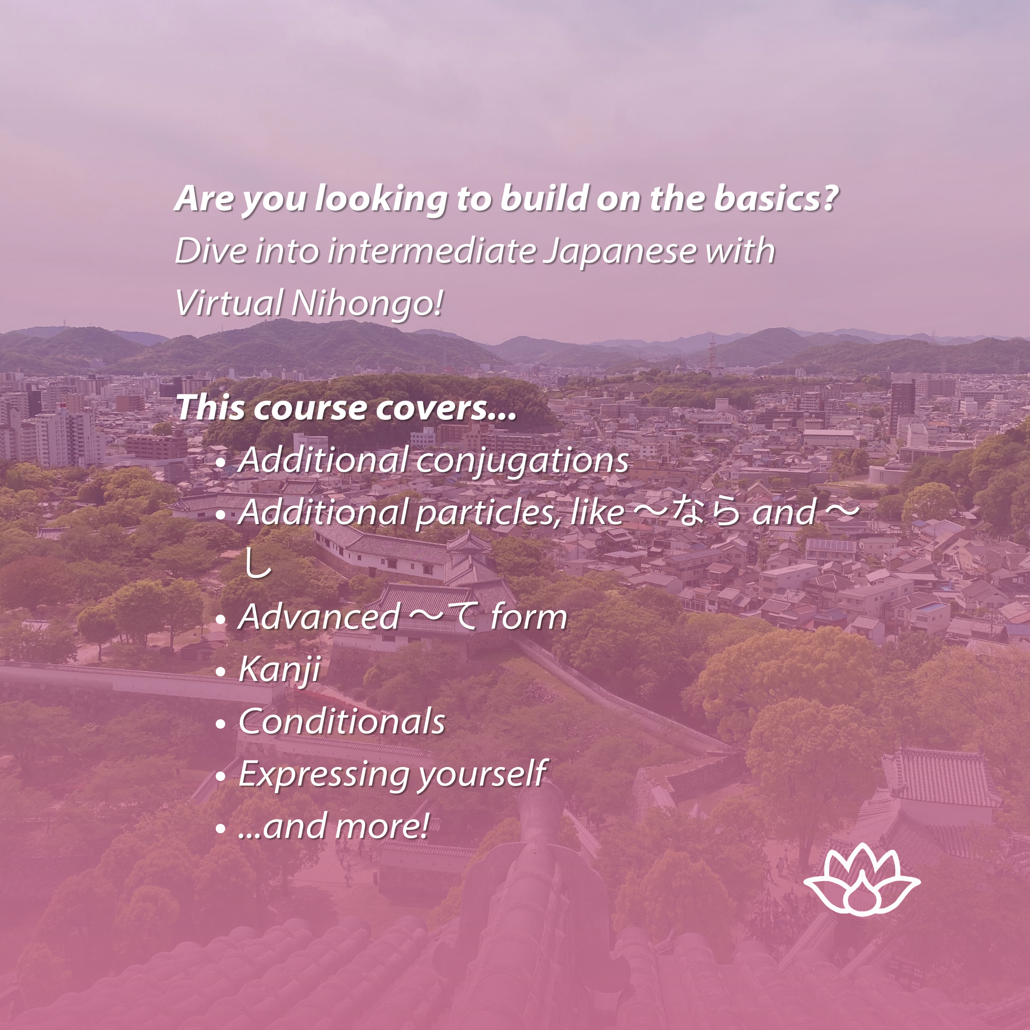 Intermediate Japanese